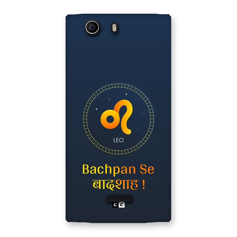 King Leo Back Case for Canvas Nitro 2 E311