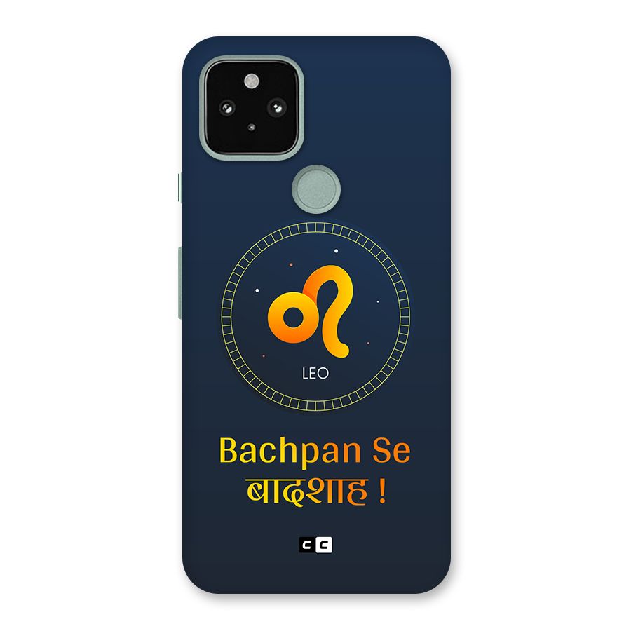 King Leo Back Case for Google Pixel 5