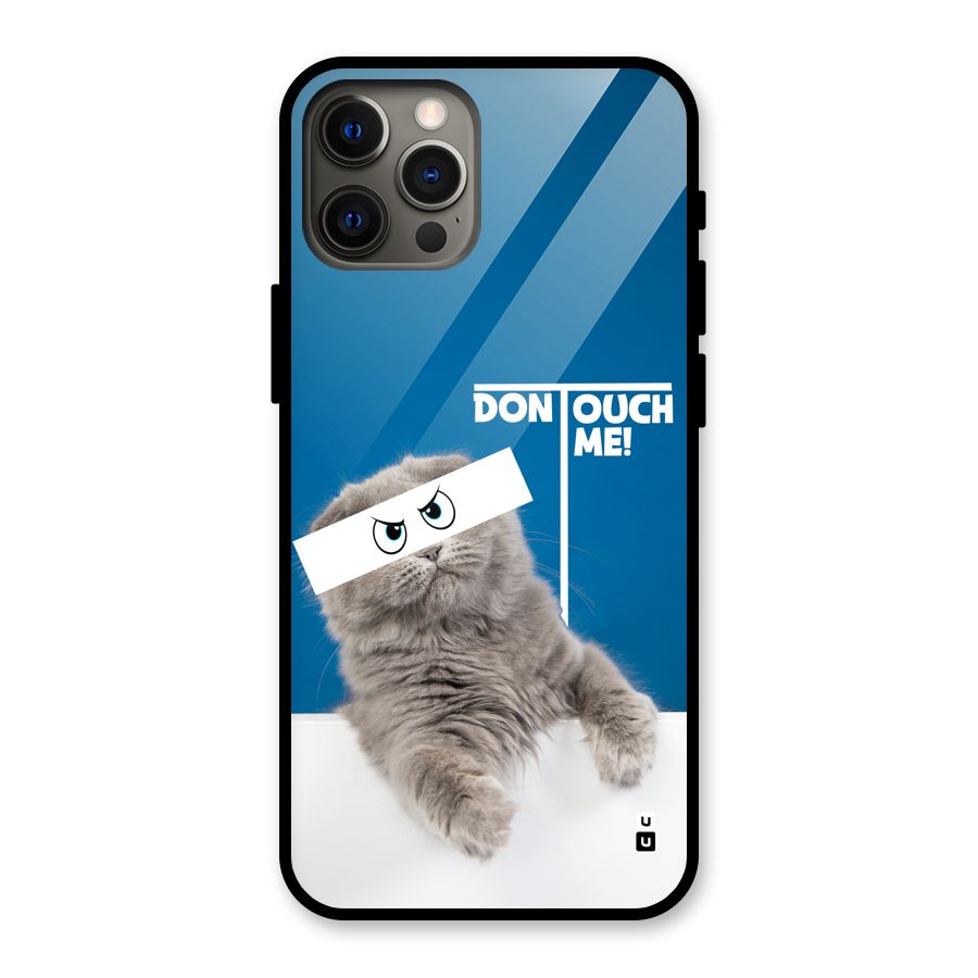 Kitty Dont Touch Glass Back Case for iPhone 12 Pro Max
