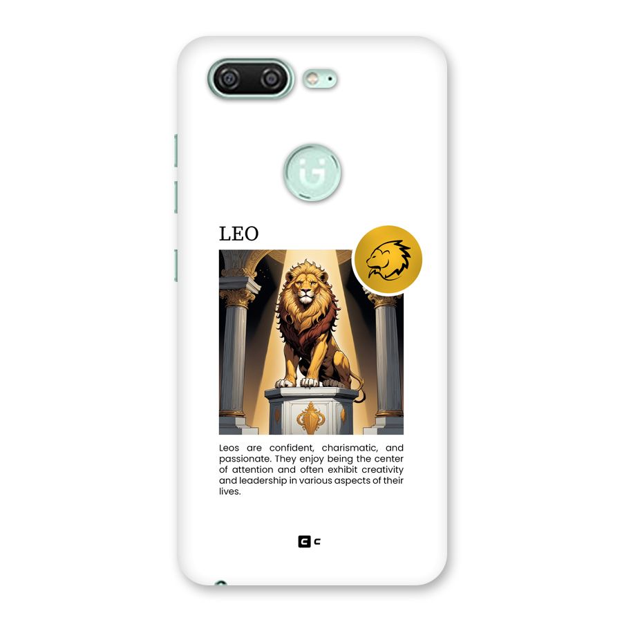 Leader Leo Back Case for Gionee S10