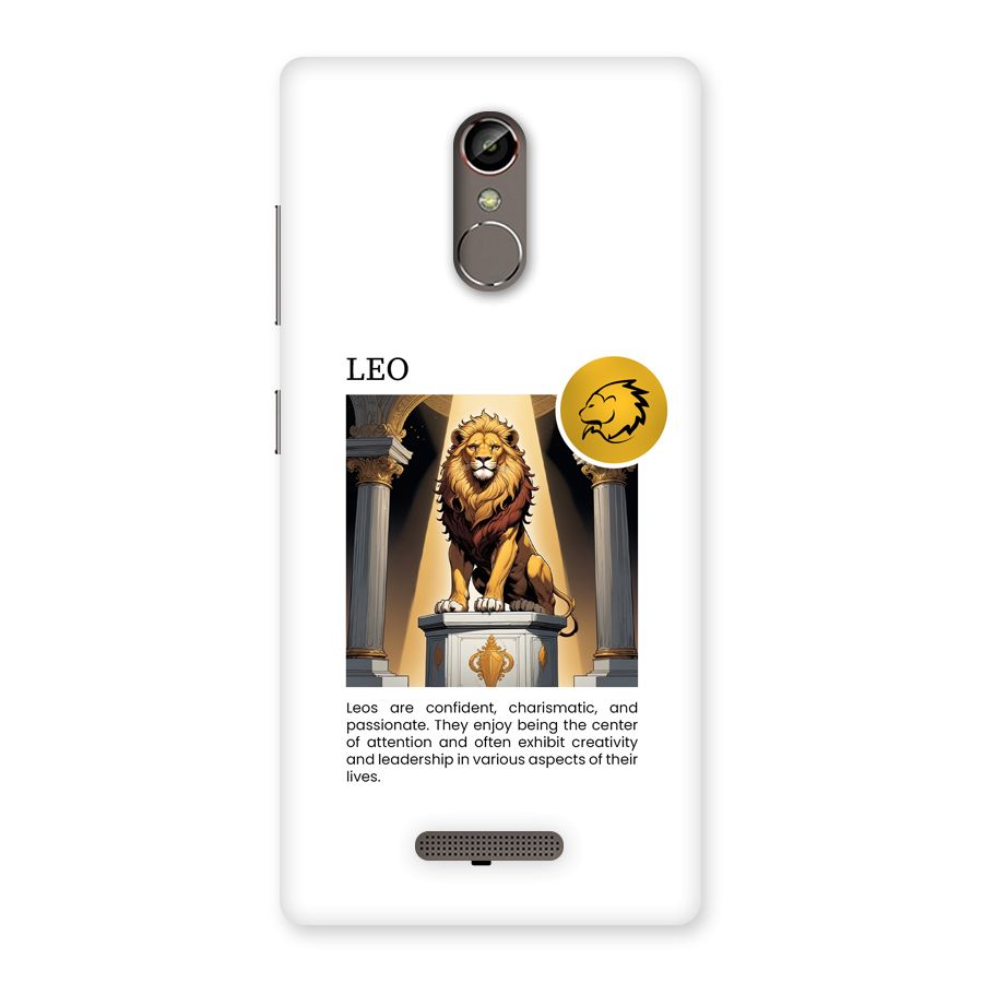 Leader Leo Back Case for Gionee S6s
