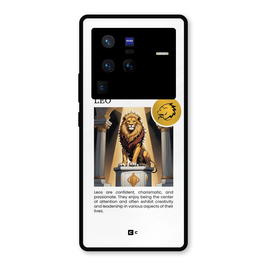 Leader Leo Metal Back Case for Vivo X80 Pro