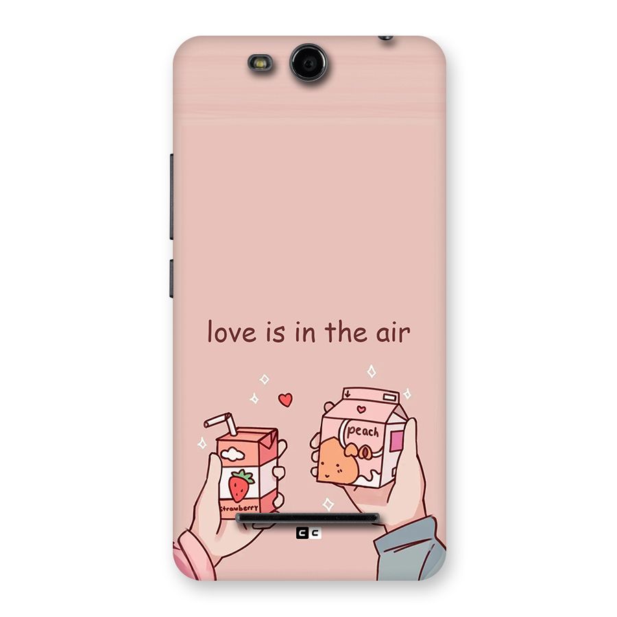 Love In Air Back Case for Canvas Juice 3 Q392