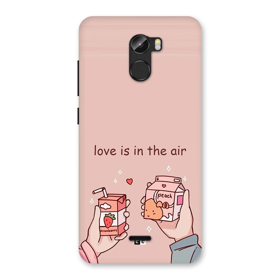 Love In Air Back Case for Gionee X1
