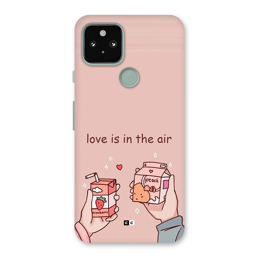 Love In Air Back Case for Google Pixel 5