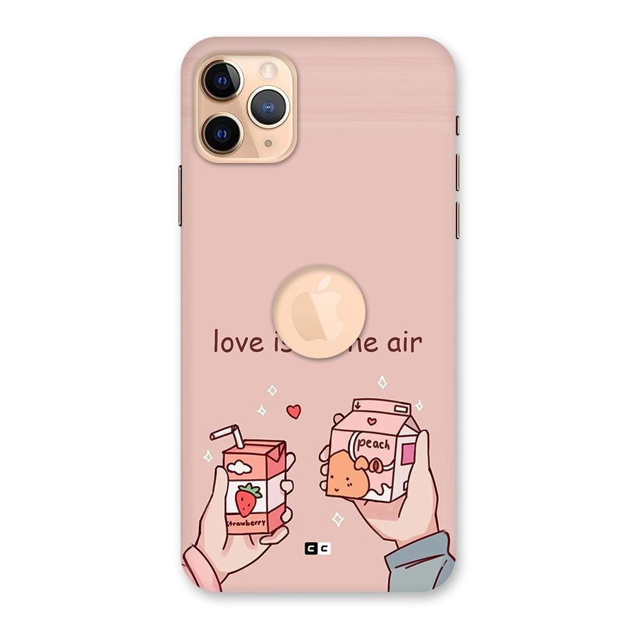 Love In Air Back Case for iPhone 11 Pro Max Logo Cut
