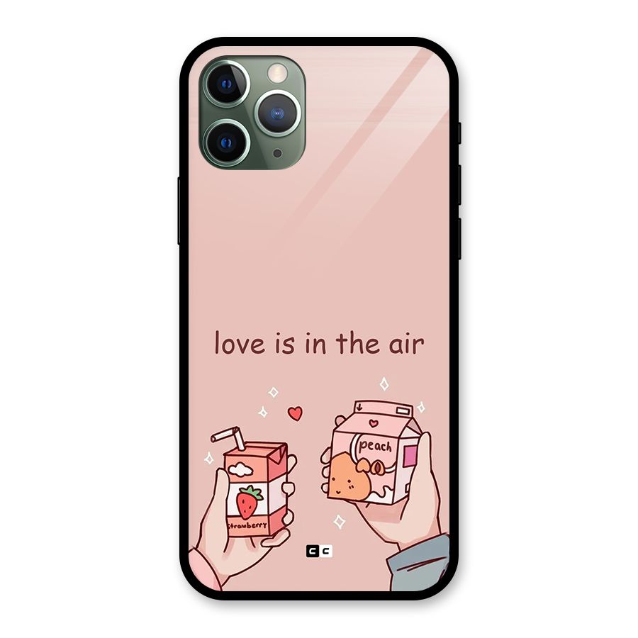 Love In Air Glass Back Case for iPhone 11 Pro