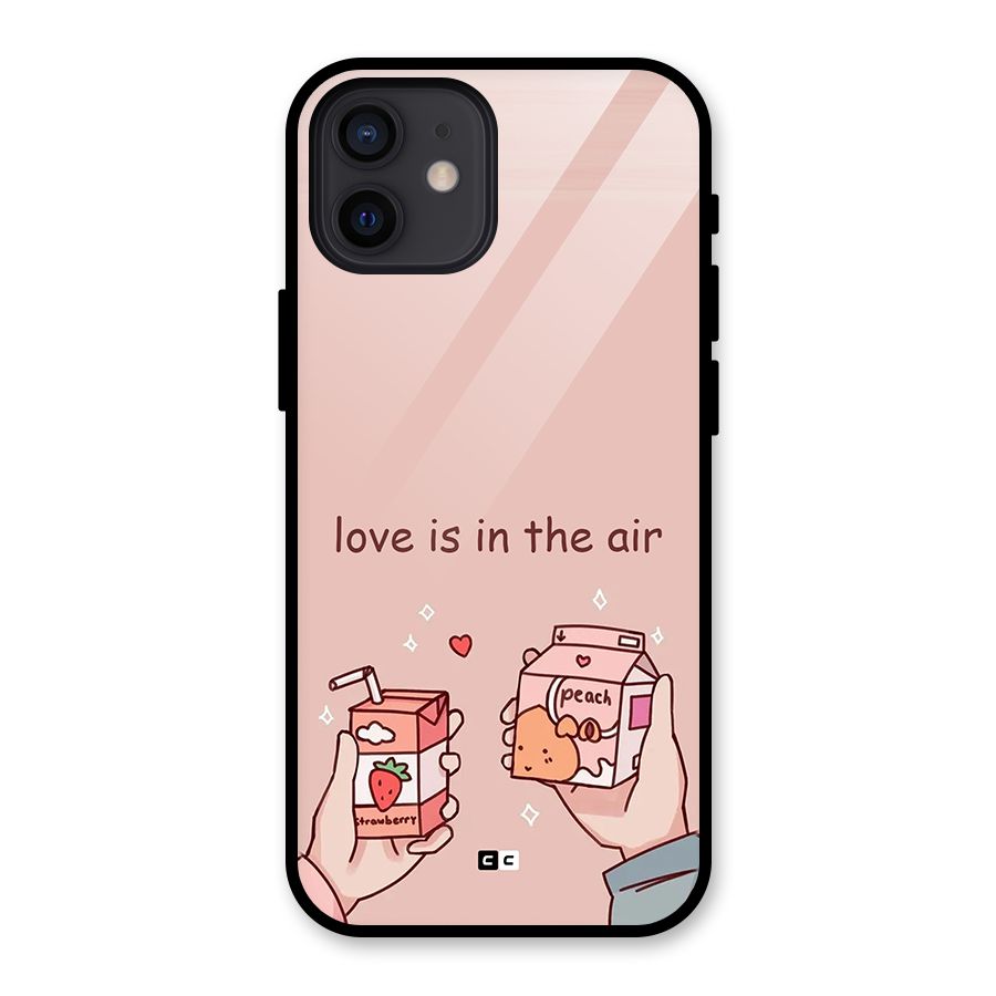 Love In Air Glass Back Case for iPhone 12