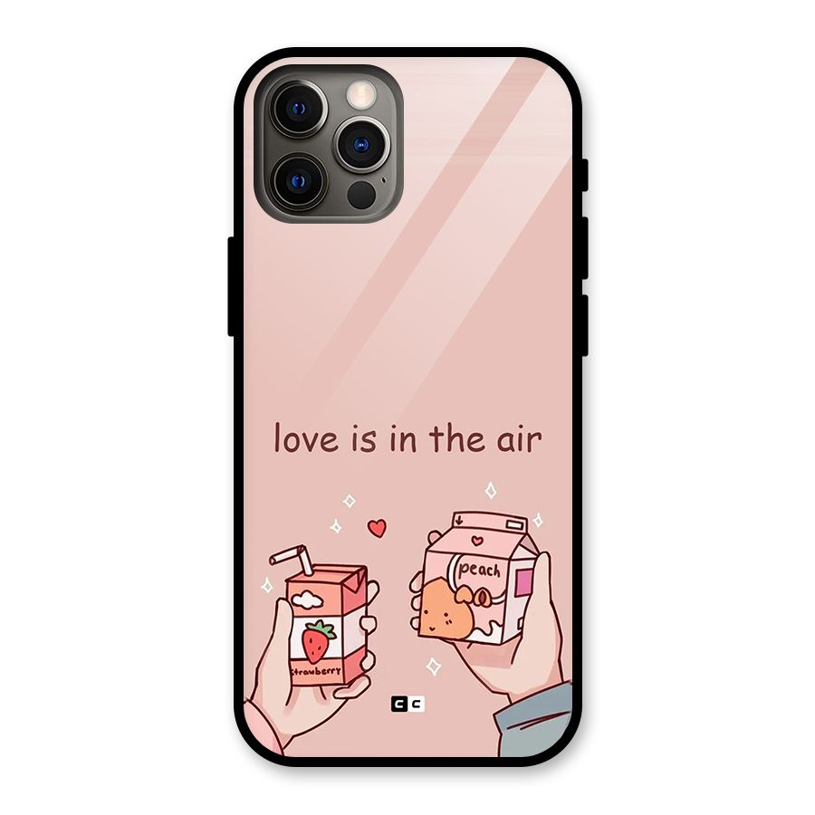 Love In Air Glass Back Case for iPhone 12 Pro