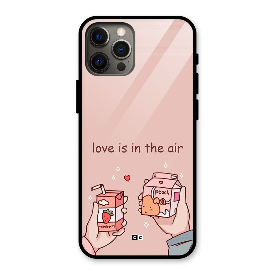 Love In Air Glass Back Case for iPhone 12 Pro Max