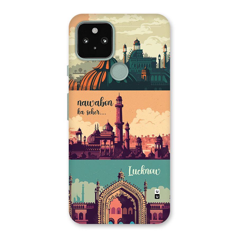 Lucknow City Back Case for Google Pixel 5