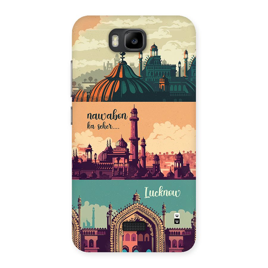 Lucknow City Back Case for Honor Bee