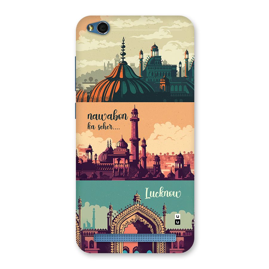Lucknow City Back Case for Redmi 5A