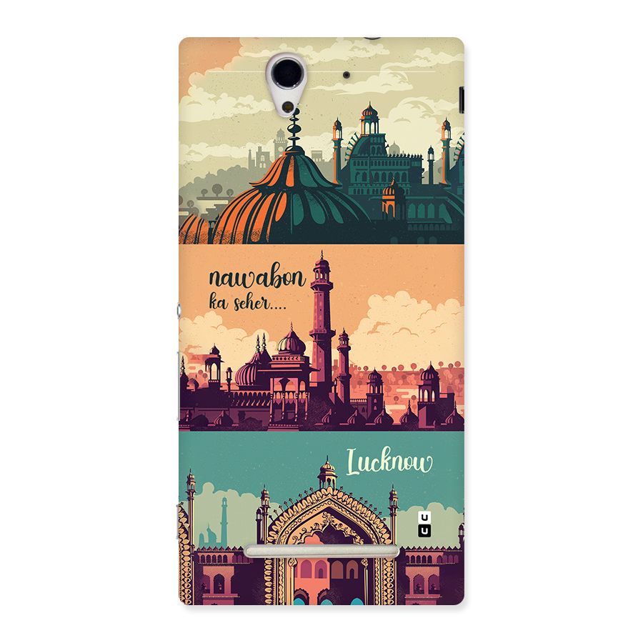 Lucknow City Back Case for Xperia C3