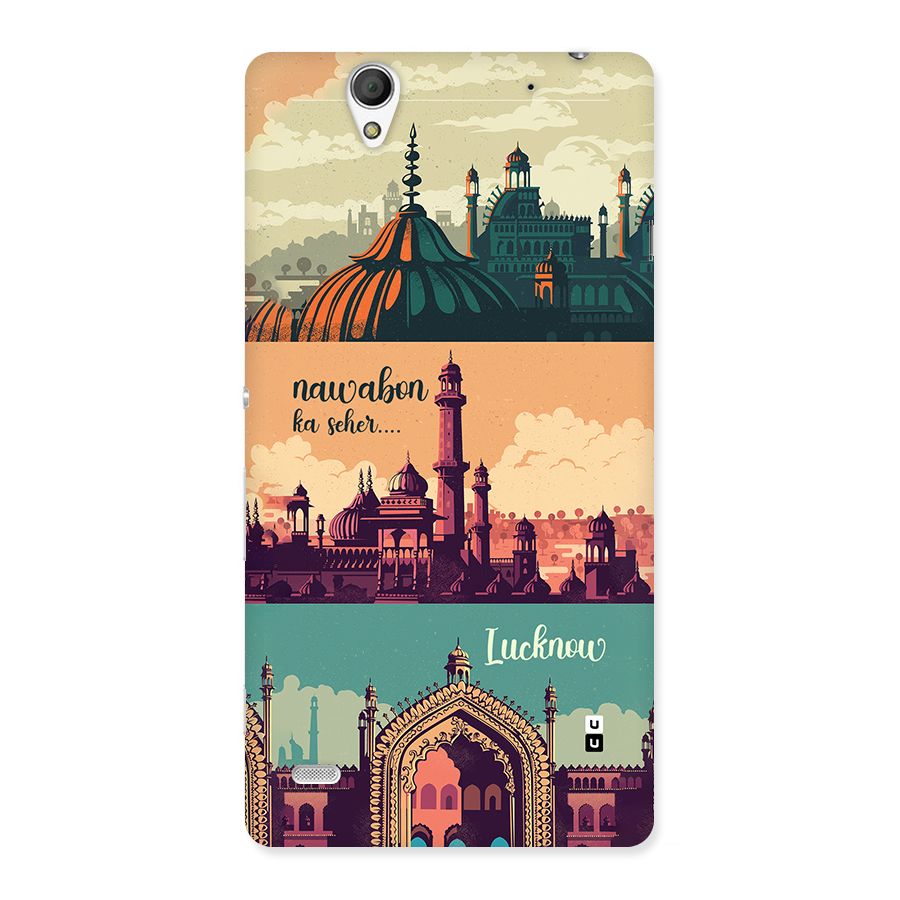 Lucknow City Back Case for Xperia C4