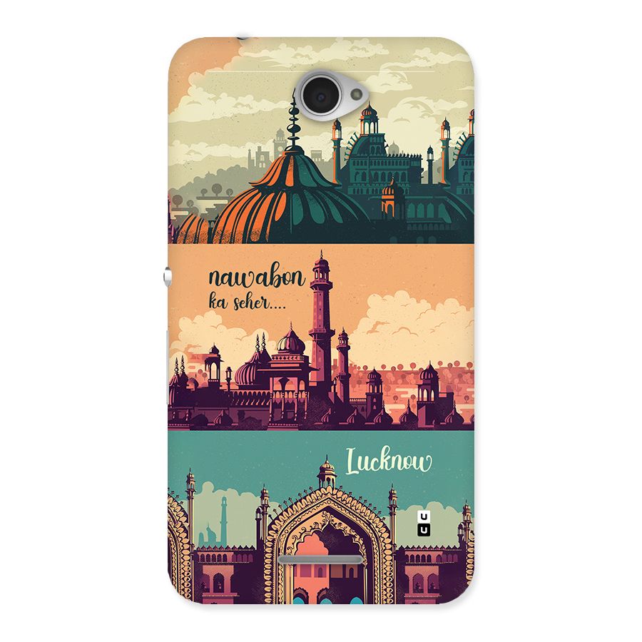 Lucknow City Back Case for Xperia E4