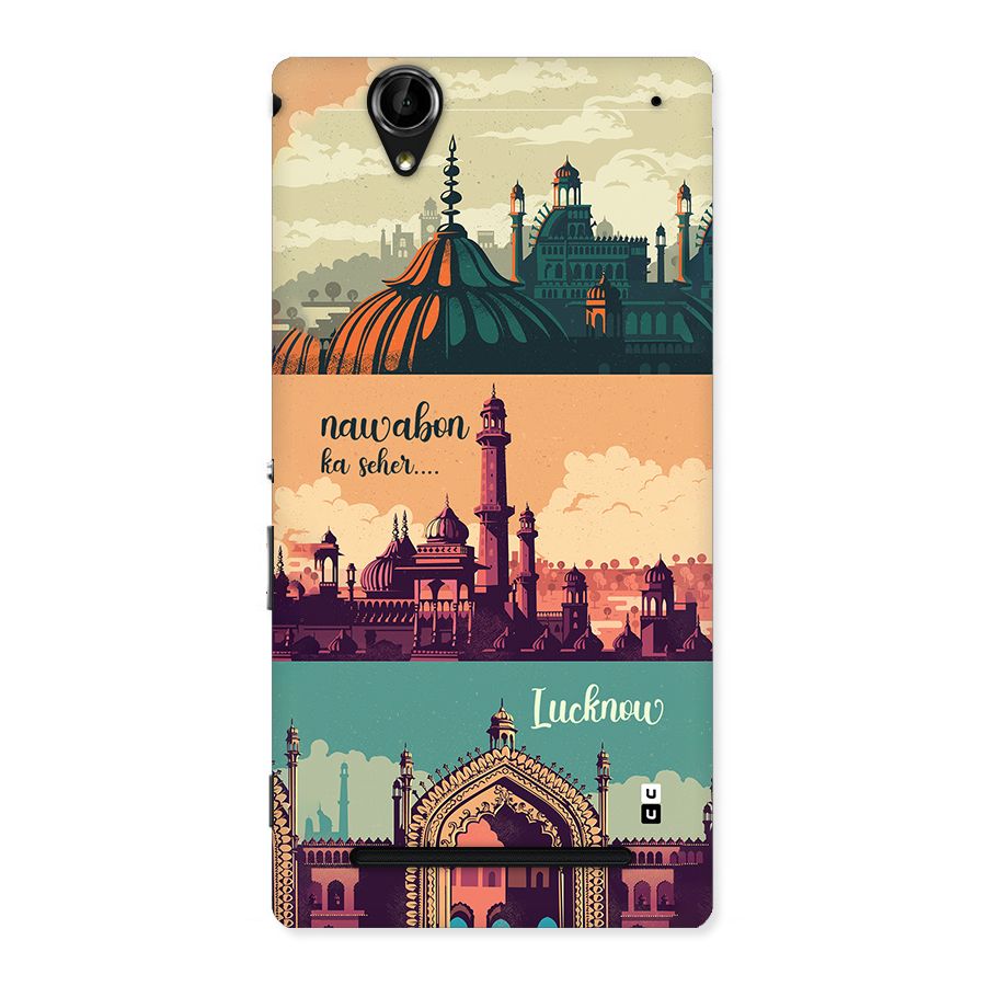 Lucknow City Back Case for Xperia T2