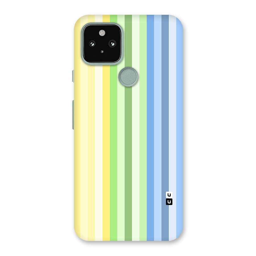 Minimal Pastel Shades Stripes Back Case for Google Pixel 5