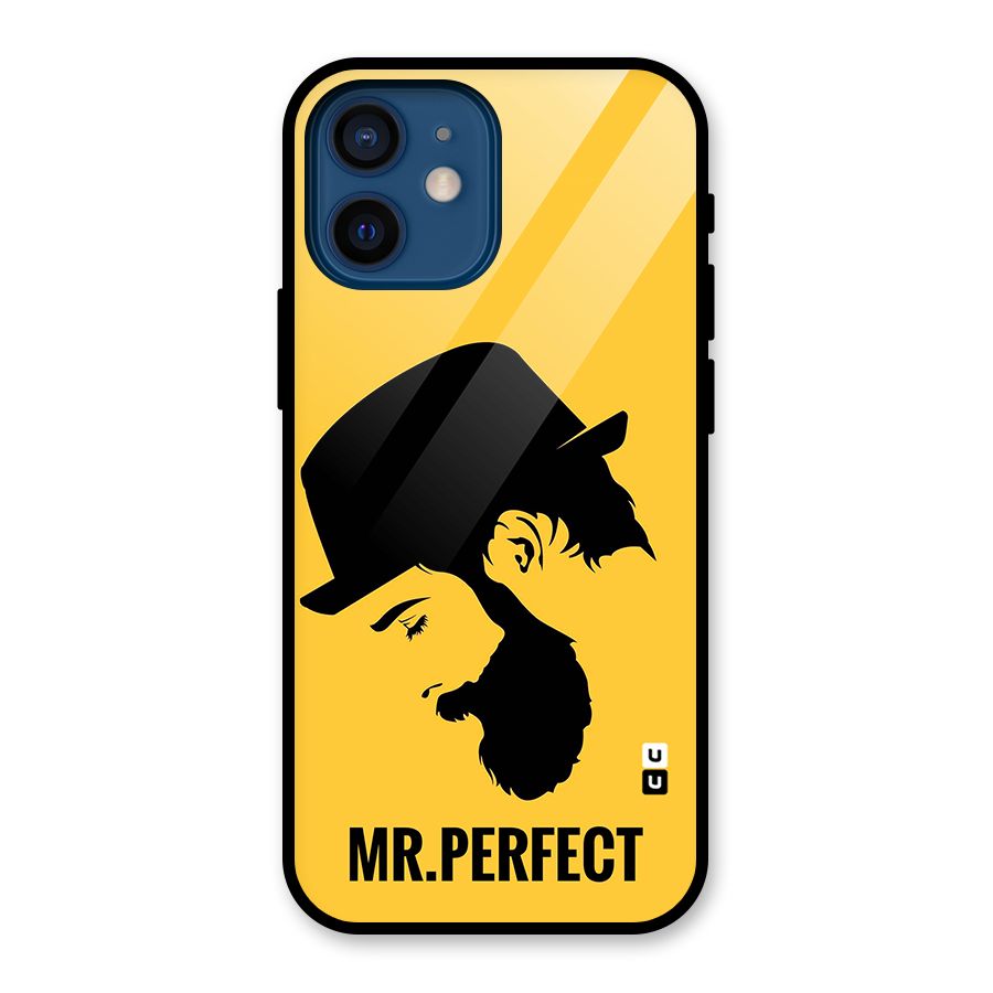 Mr Perfect Glass Back Case for iPhone 12 Mini