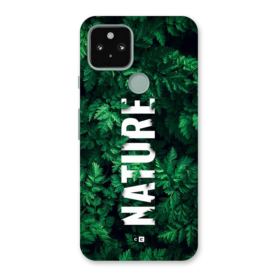Nature Leaves Back Case for Google Pixel 5