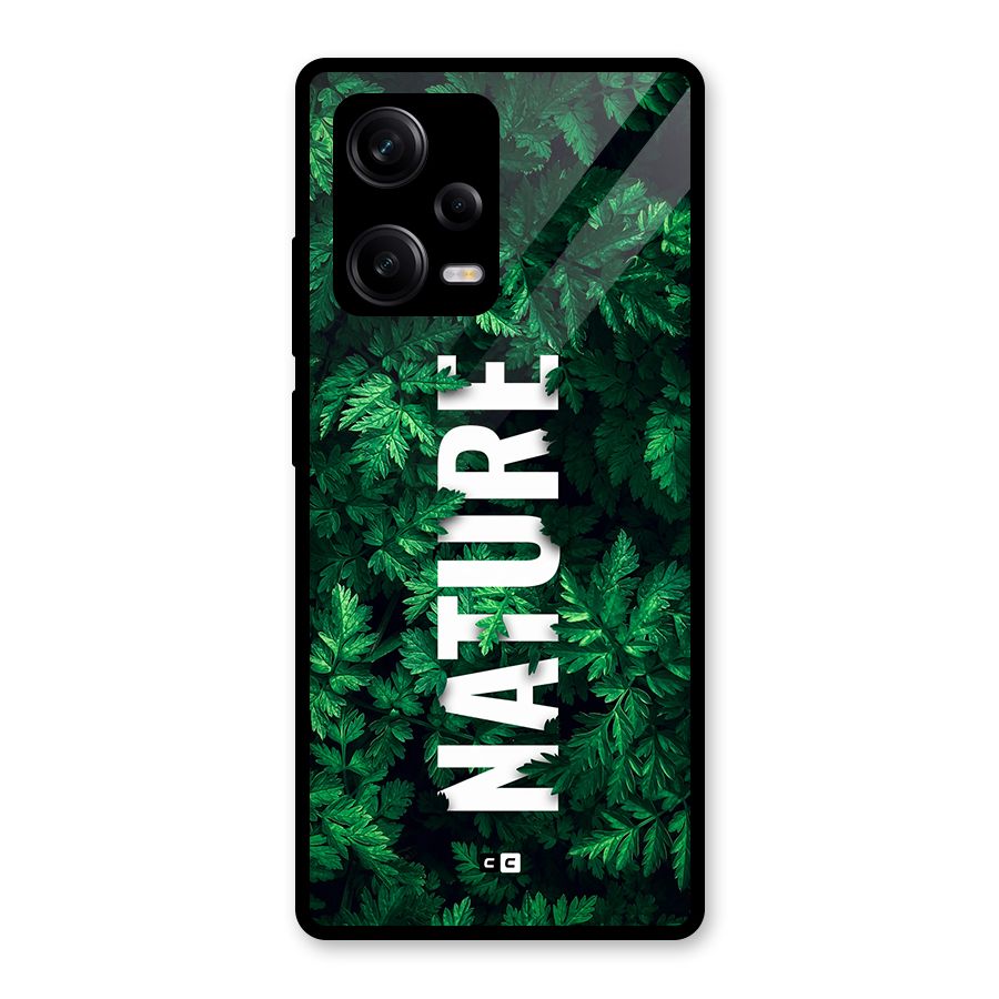 Nature Leaves Glass Back Case for Redmi Note 12 Pro