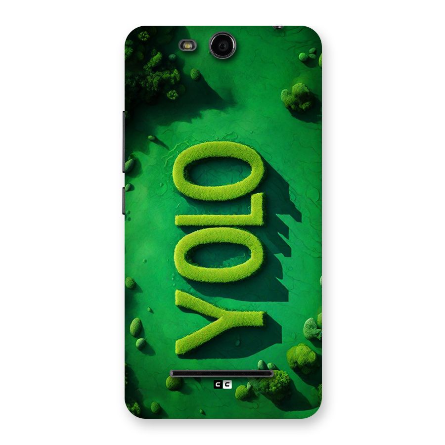 Nature Yolo Back Case for Canvas Juice 3 Q392