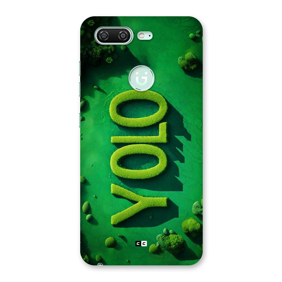 Nature Yolo Back Case for Gionee S10