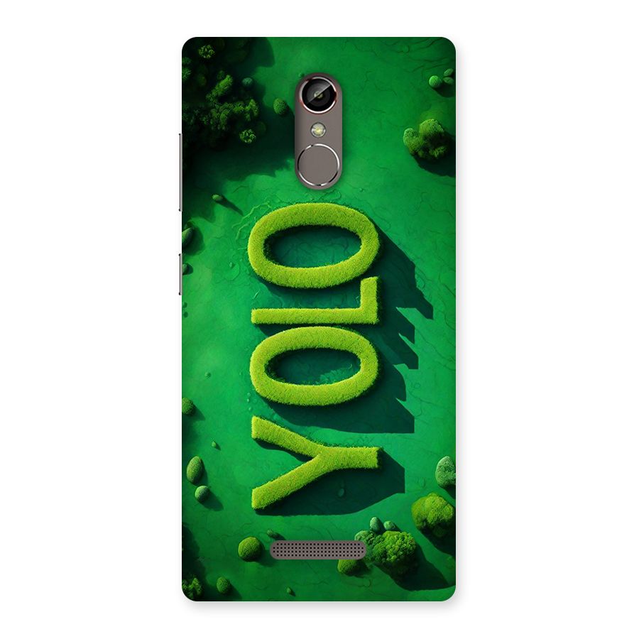 Nature Yolo Back Case for Gionee S6s