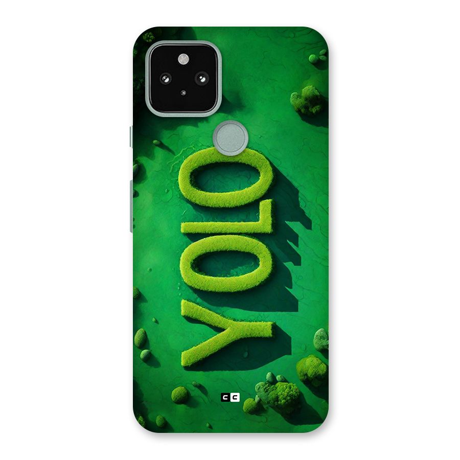 Nature Yolo Back Case for Google Pixel 5
