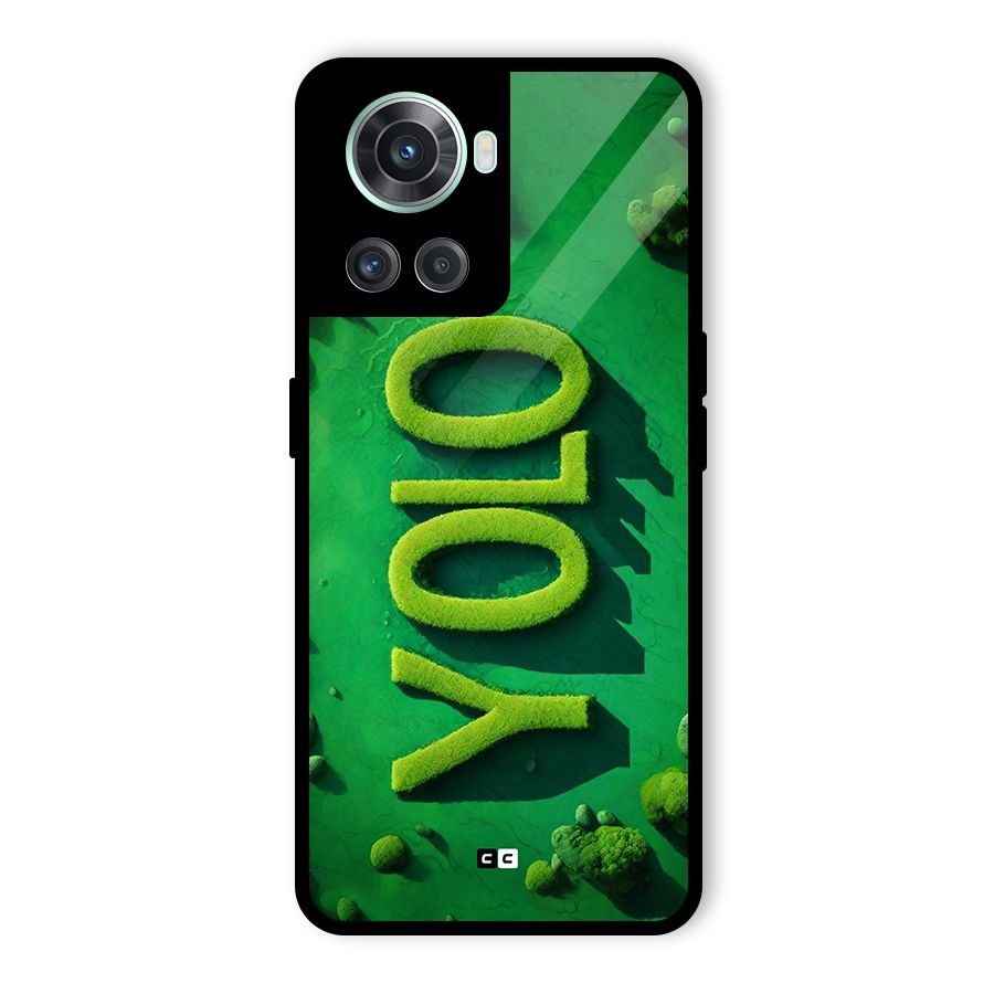 Nature Yolo Glass Back Case for OnePlus 10R