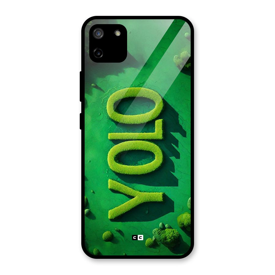 Nature Yolo Glass Back Case for Realme C11