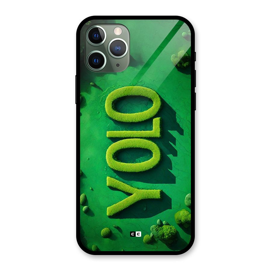 Nature Yolo Glass Back Case for iPhone 11 Pro