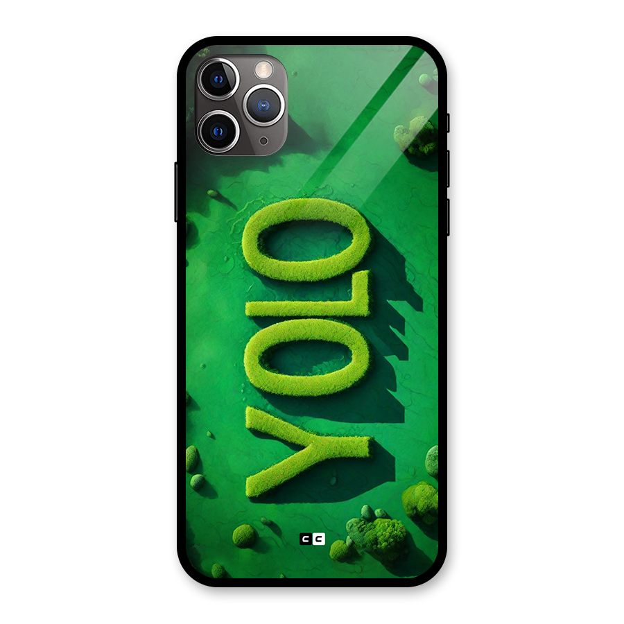 Nature Yolo Glass Back Case for iPhone 11 Pro Max