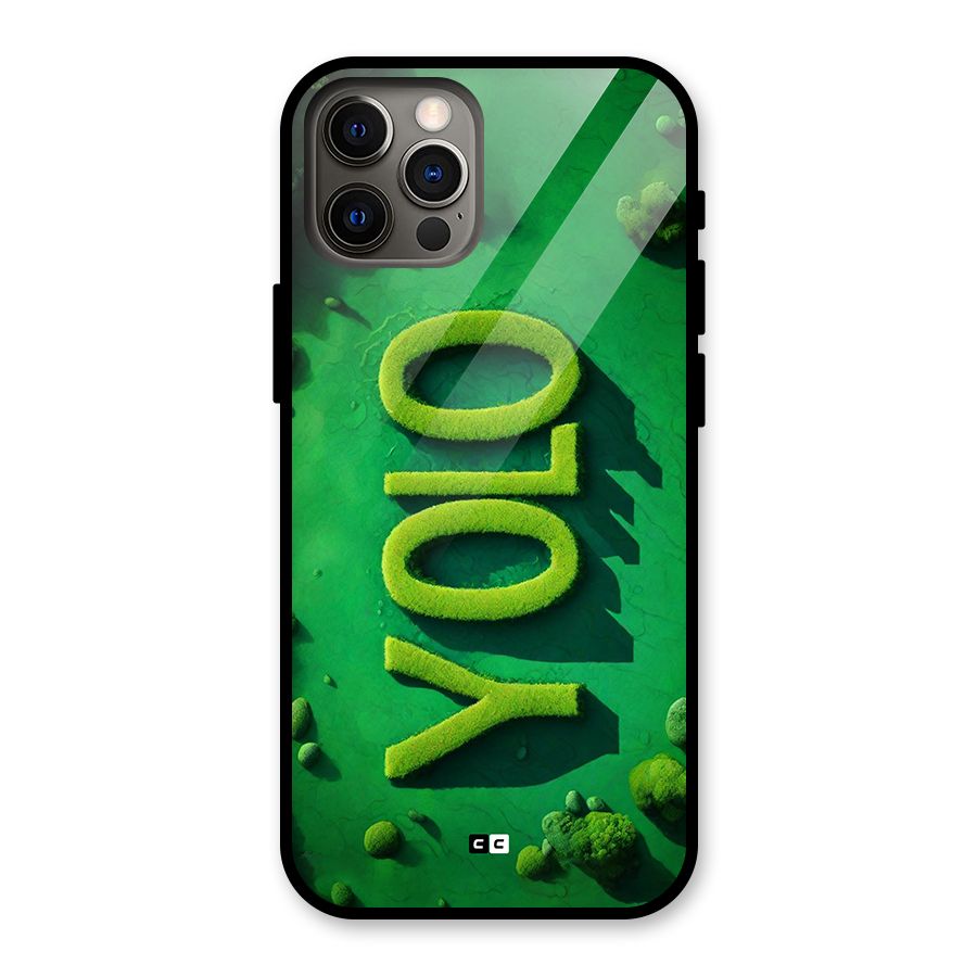 Nature Yolo Glass Back Case for iPhone 12 Pro