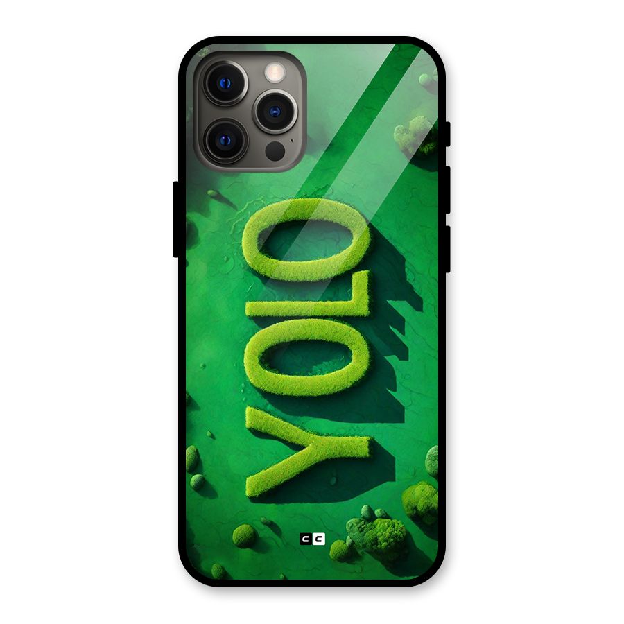 Nature Yolo Glass Back Case for iPhone 12 Pro Max