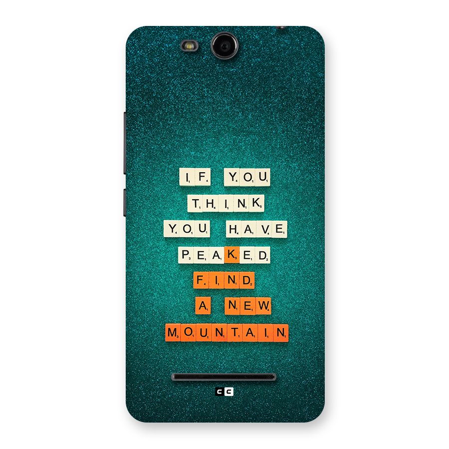 New Mountain Back Case for Canvas Juice 3 Q392