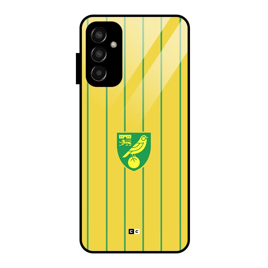 Norwich City Glass Back Case for Galaxy F13