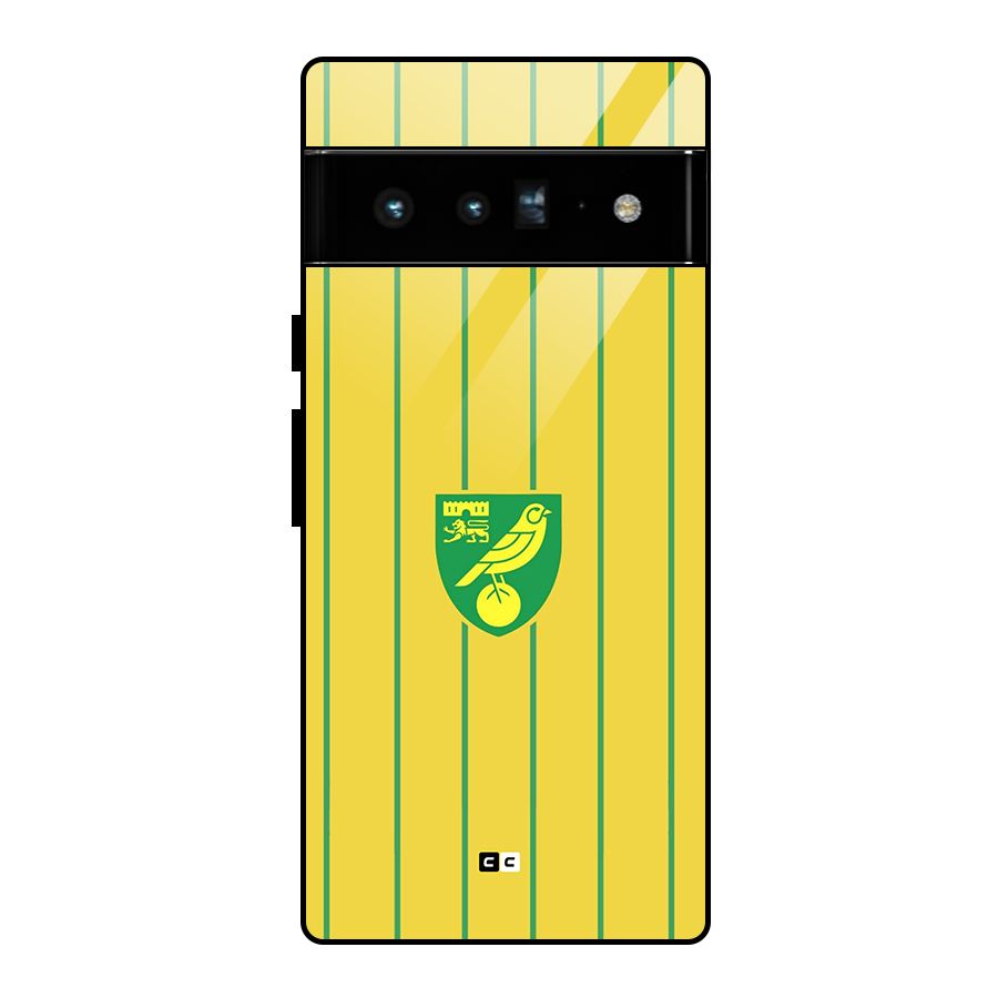 Norwich City Glass Back Case for Google Pixel 6 Pro