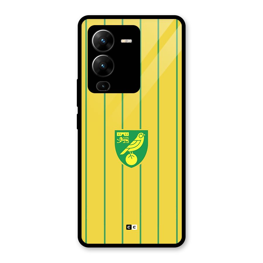 Norwich City Glass Back Case for Vivo V25 Pro