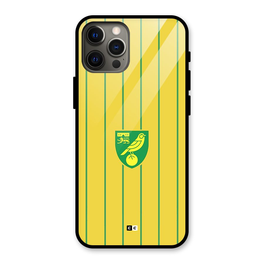 Norwich City Glass Back Case for iPhone 12 Pro Max