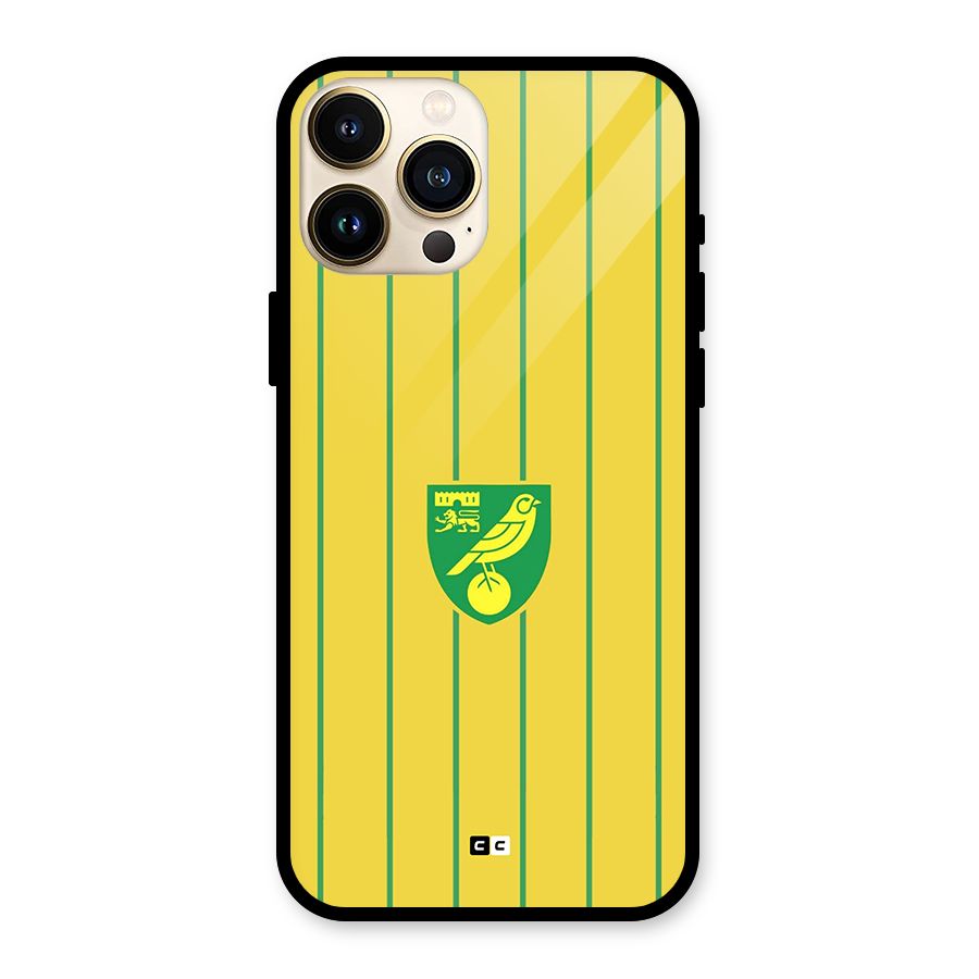 Norwich City Glass Back Case for iPhone 13 Pro Max