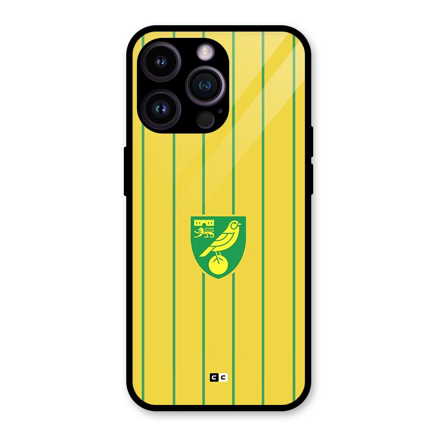 Norwich City Glass Back Case for iPhone 14 Pro Max