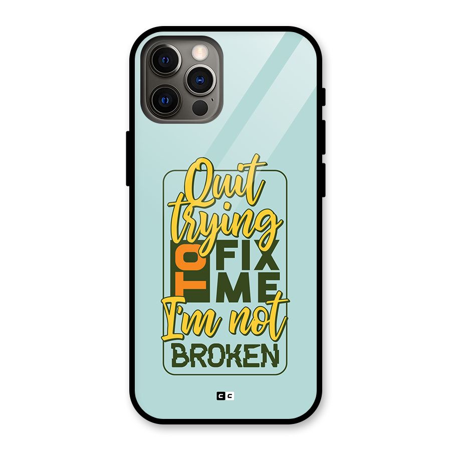Not Broken Glass Back Case for iPhone 12 Pro