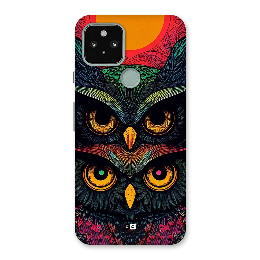 Owl Soul Art Illustration Back Case for Google Pixel 5
