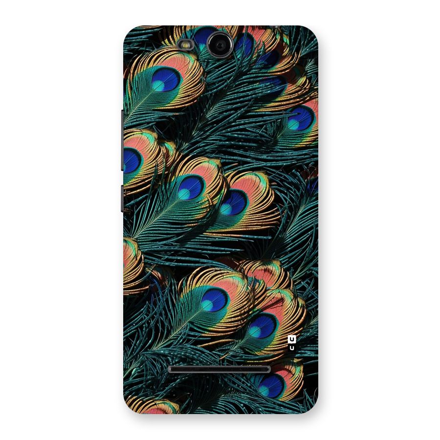 Peacock Feather Art Back Case for Canvas Juice 3 Q392