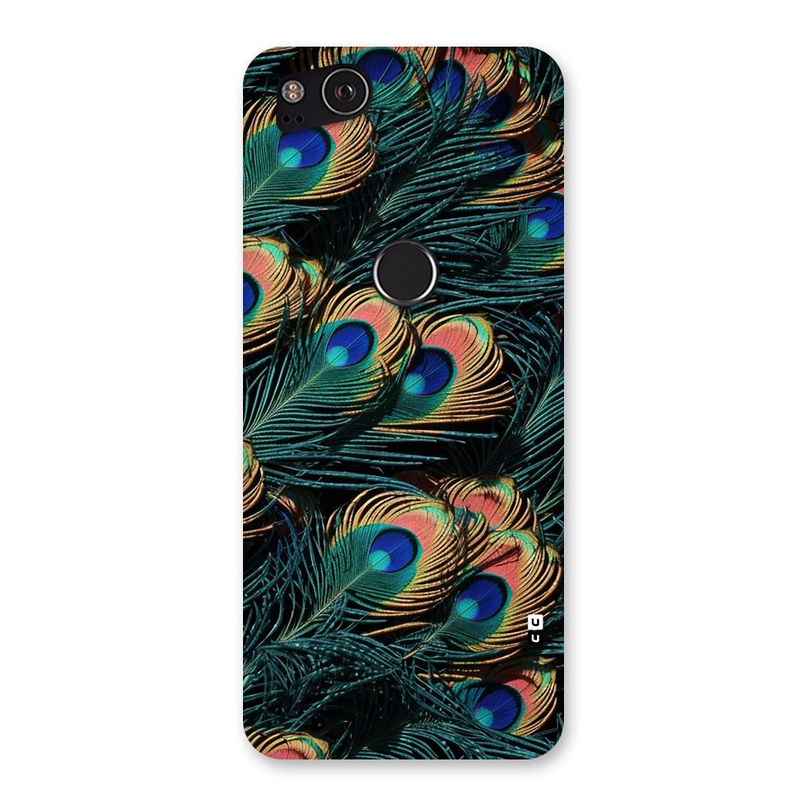 Peacock Feather Art Back Case for Google Pixel 2