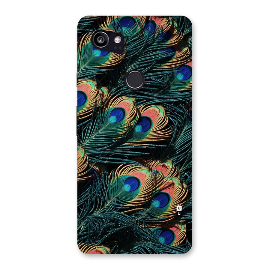 Peacock Feather Art Back Case for Google Pixel 2 XL