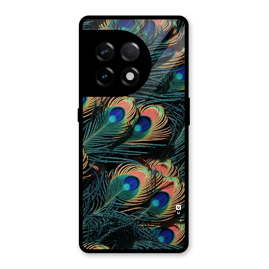 Peacock Feather Art Glass Back Case for OnePlus 11R