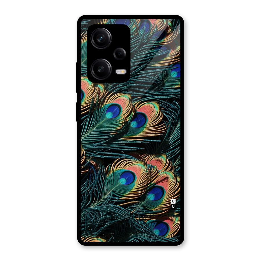 Peacock Feather Art Glass Back Case for Redmi Note 12 Pro