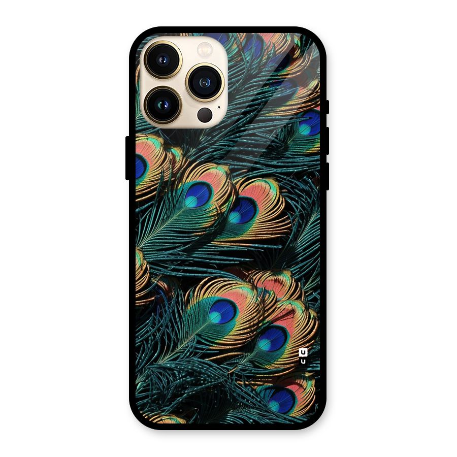 Peacock Feather Art Glass Back Case for iPhone 13 Pro Max